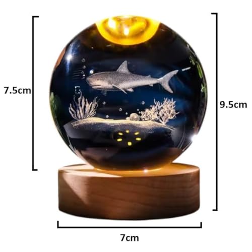 Crystal Ball Lamp with 3D Engraving and Luminous Base - Shark Reef