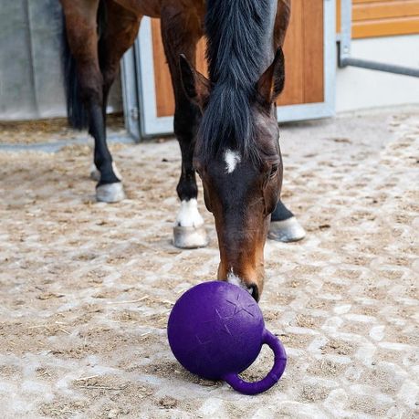 Horse Play EVA Ball with Handle - Purple