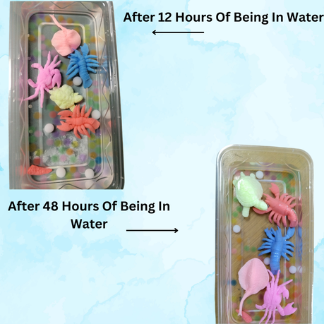 Growing Water Animals - 4 Pack Insects