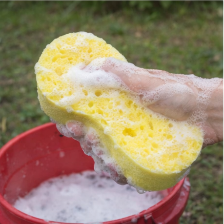Sponge Car Wash