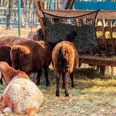 Horse Hay Net 100x145 cm