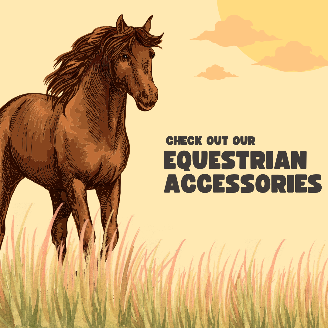 Equestrian Accessories - Everything you need to keep your horse happy!