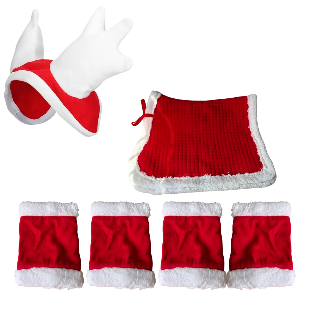 Horse Christmas Novelty Set - Hat, Rug and 4 Leg Sleeves