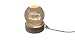Small Crystal Ball Lamp with 3D Engraving and Luminous Base – Shark Reef