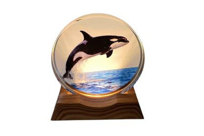 3D Creative Lamp – Orca Illuminated Art Light