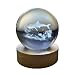 Small Crystal Ball Lamp with 3D Engraving and Luminous Base – Shark Reef