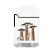 ZL3 Zengaz Torch Lighter - African Wildlife (Baobab Safari)