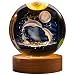 Crystal Ball Lamp with 3D Engraving and Luminous Base - Cosmic Dolphin