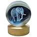 Crystal Ball Lamp with 3D Engraving and Luminous Base - Elephant