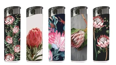 N2 Electronic Lighter 50 Tray (Protea)