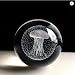 Crystal Ball Lamp with 3D Engraving and Luminous Base - Jellyfish