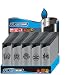 N2 Electronic Lighter 50' Tray (Silver Tattoo)