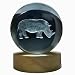 Crystal Ball Lamp with 3D Engraving and Luminous Base - Rhino