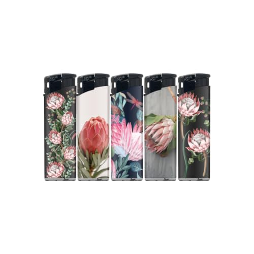 N2 Electronic Lighter - 5 Pack With 330ml Gas (Protea)