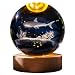 Crystal Ball Lamp with 3D Engraving and Luminous Base - Shark Reef