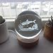 Crystal Ball Lamp with 3D Engraving and Luminous Base - Shark Reef