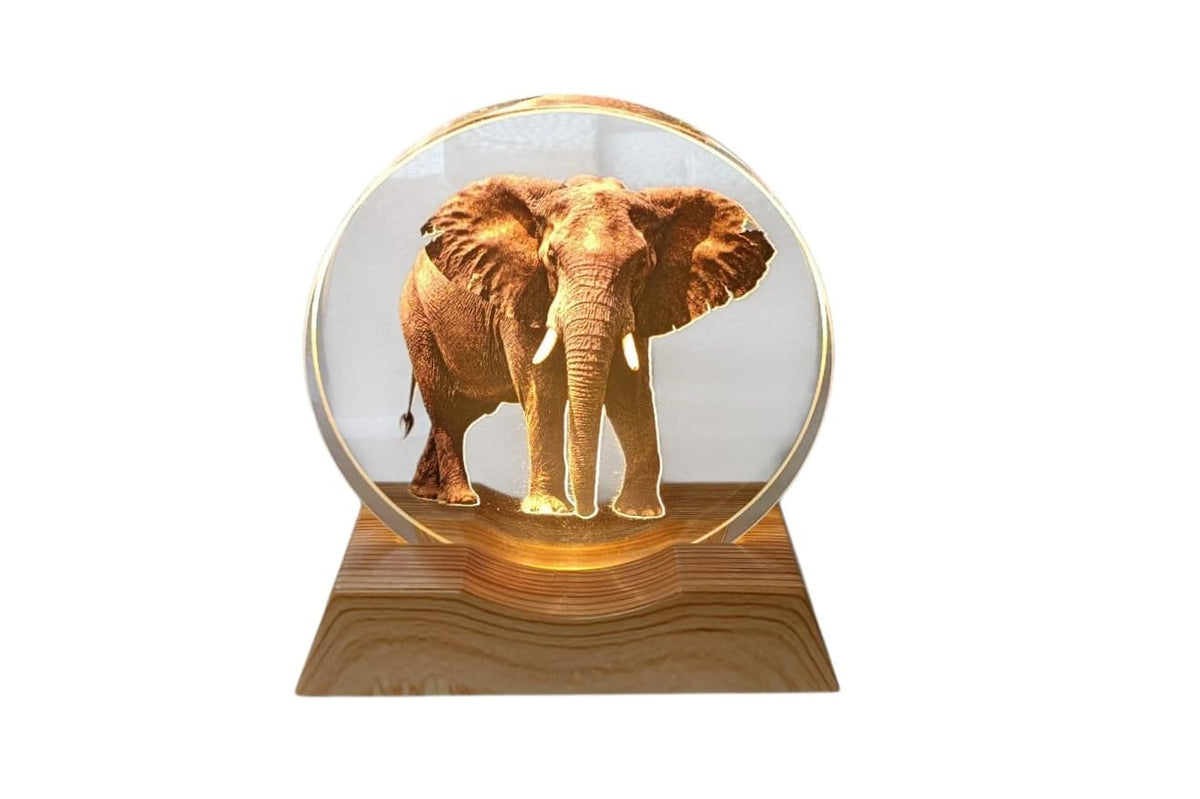 3D Creative Lamp – Elephant Illuminated Art Light