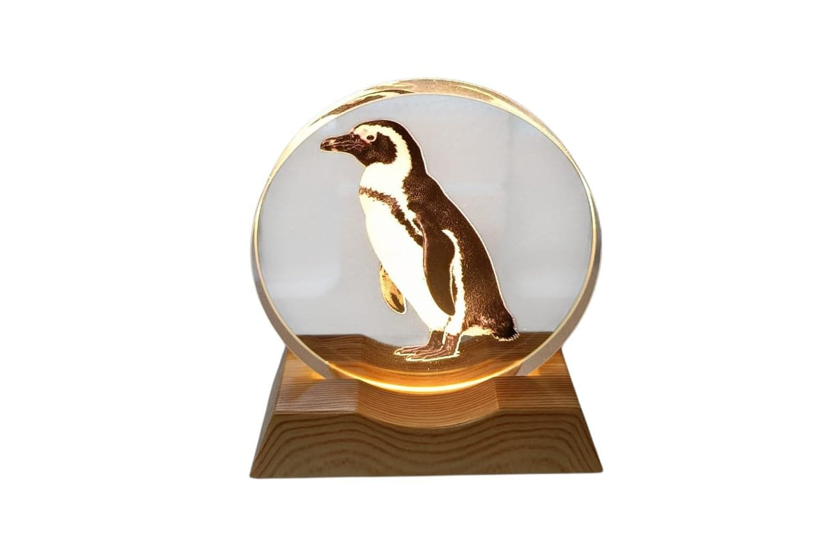 3D Creative Lamp – Penguin Illuminated Art Light