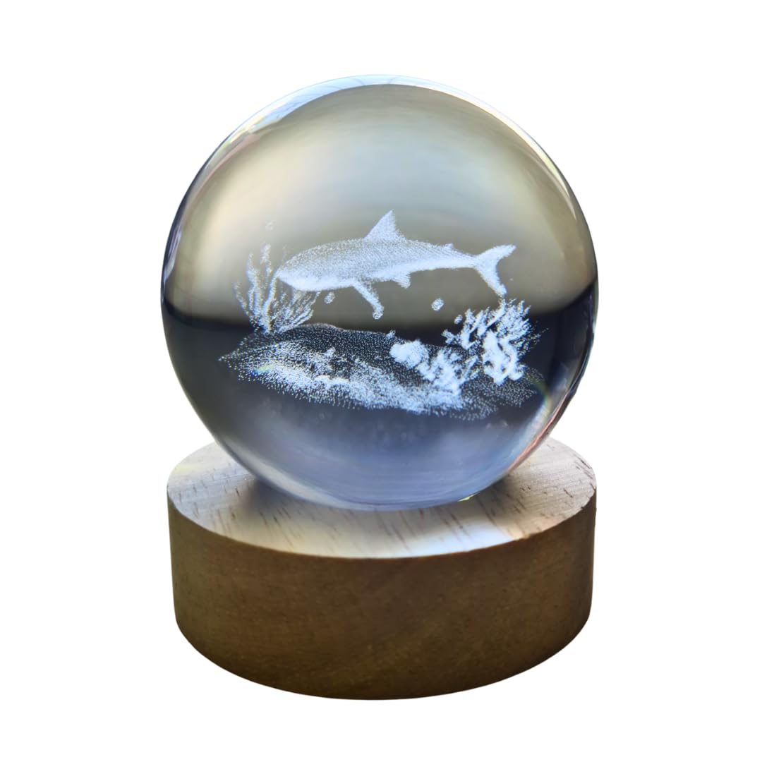 Small Crystal Ball Lamp with 3D Engraving and Luminous Base – Shark Reef