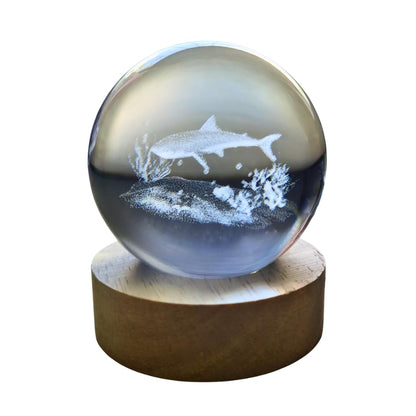 Small Crystal Ball Lamp with 3D Engraving and Luminous Base – Shark Reef