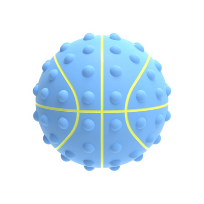 Basket Fidget Ball with Pump