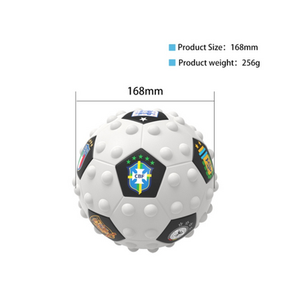 Soccer Fidget Ball with Pump
