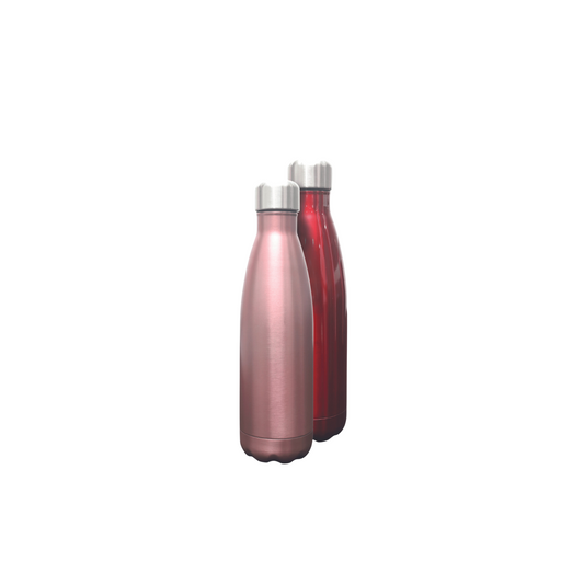 Stainless Steel 500ml Water Bottle