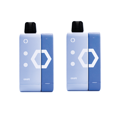 Elf Bar 9000 Puffs Rechargeable Pod Kit 50mg - Grape - 2 Pack