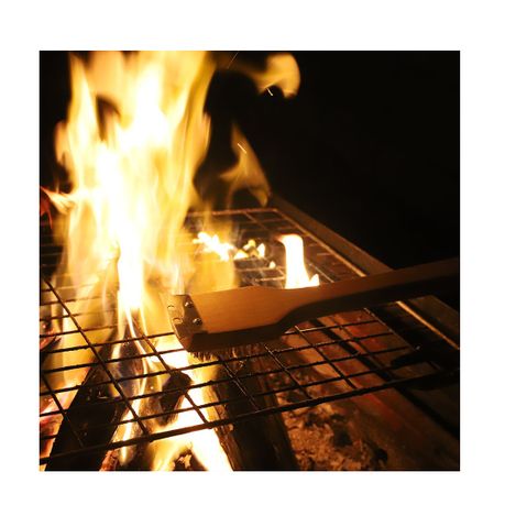 Braai Grid Brush - Nylon Handle