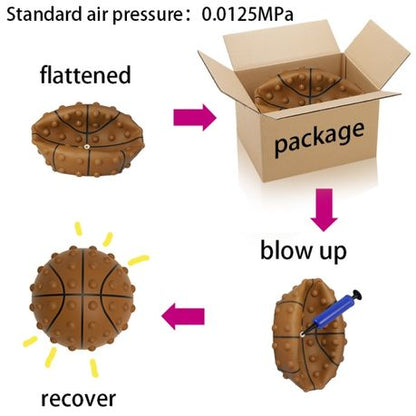 Basket Ball Fidget PoP It - Brown, plus pump