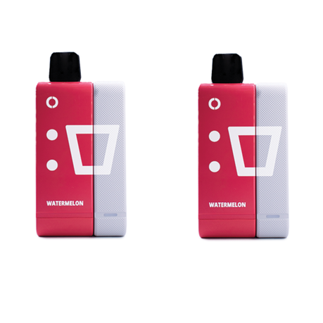 Elf Bar 9000 Puffs Rechargeable Pod Kit 50mg - Watermelon - 2 Pack