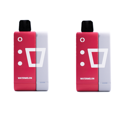 Elf Bar 9000 Puffs Rechargeable Pod Kit 50mg - Watermelon - 2 Pack