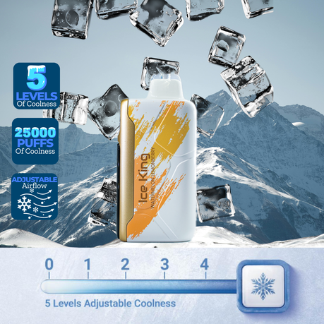 Elf Bar 25000 Puffs Disposable - Ice King - Watermelon Lemonberry - 2 Pack