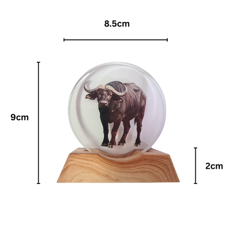 3D Creative Lamp - Buffalo Illuminated Art Light