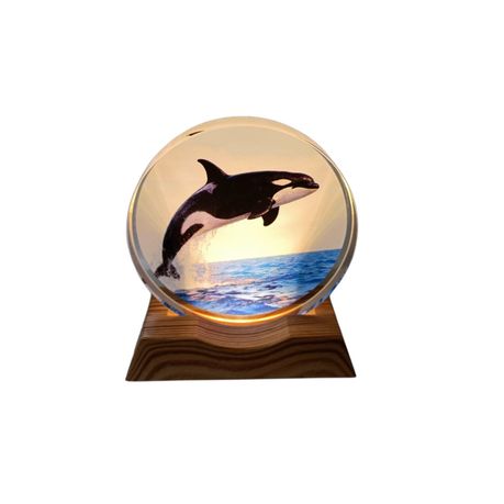 3D Creative Lamp - Orca Illuminated Art Light