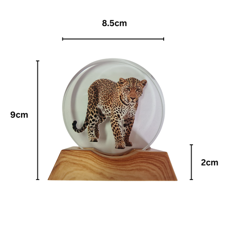 3D Creative Lamp - Leopard Illuminated Art Light
