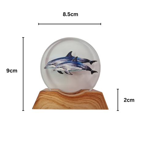 3D Creative Lamp - Dolphin Pod Illuminated Art Light