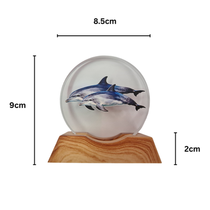 3D Creative Lamp - Dolphin Pod Illuminated Art Light