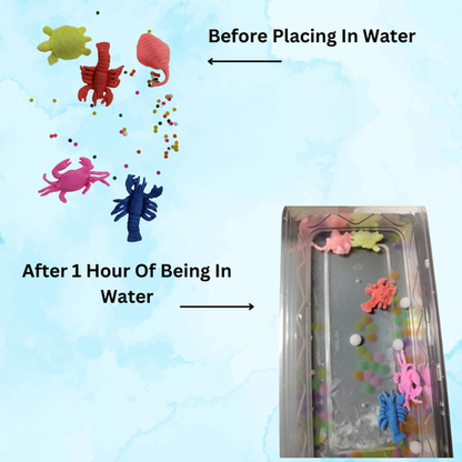 Growing Water Animals - 4 Pack Insects