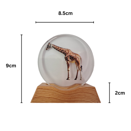 3D Creative Lamp - Giraffe Illuminated Art Light
