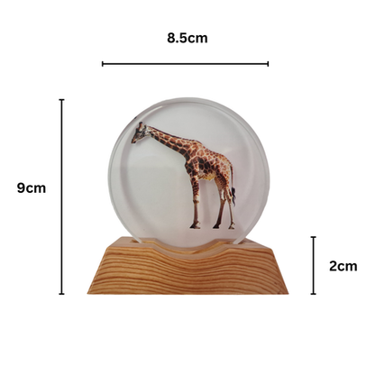 3D Creative Lamp - Giraffe Illuminated Art Light