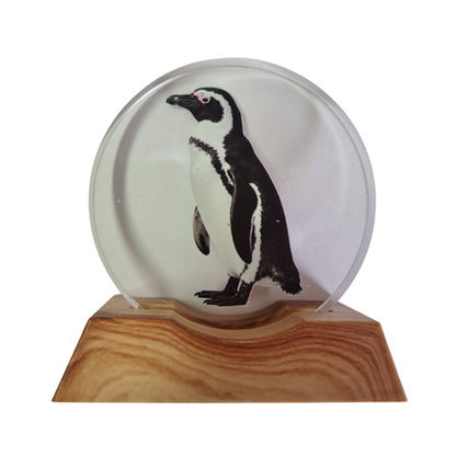 3D Creative Lamp - Penguin Illuminated Art Light
