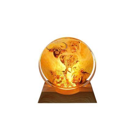 3D Creative Lamp - The Big 5 Illuminated Art Light