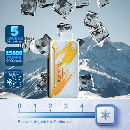 Elf Bar 25000 Puffs Dis Vape - Ice King - Mango Magic - 2 Pack