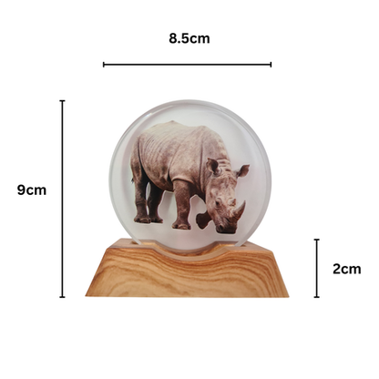 3D Creative Lamp - Rhino Illuminated Art Light