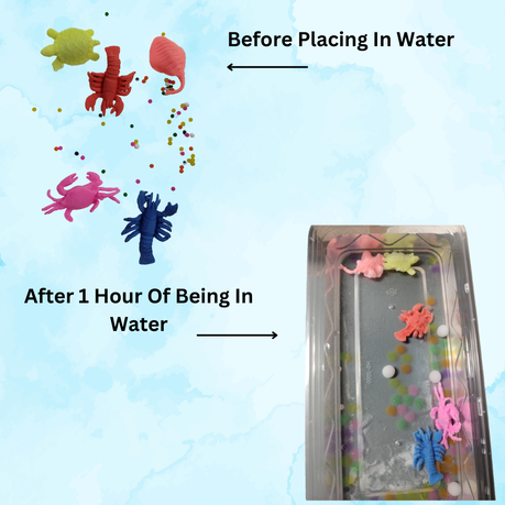 Growing Water Animals - 4 Pack Dinosaurs