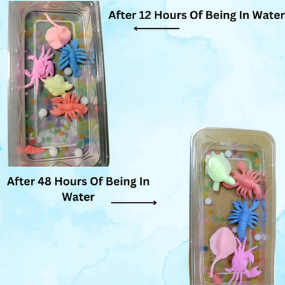 Growing Water Animals - 4 Pack Insects