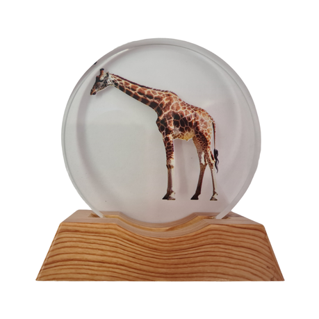 3D Creative Lamp - Giraffe Illuminated Art Light