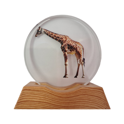 3D Creative Lamp - Giraffe Illuminated Art Light
