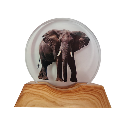 3D Creative Lamp - Elephant Illuminated Art Light